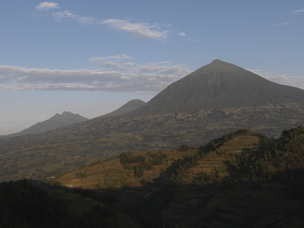 1-Day Golden Monkey Encounter in Volcanoes National Park